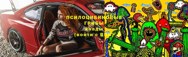 spice Белокуриха