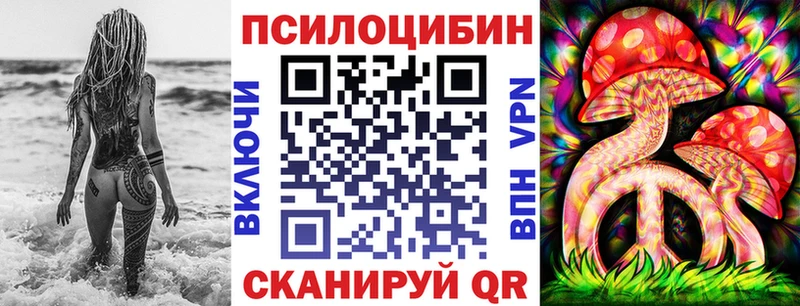 даркнет телеграм  Буйнакск  Галлюциногенные грибы Cubensis 